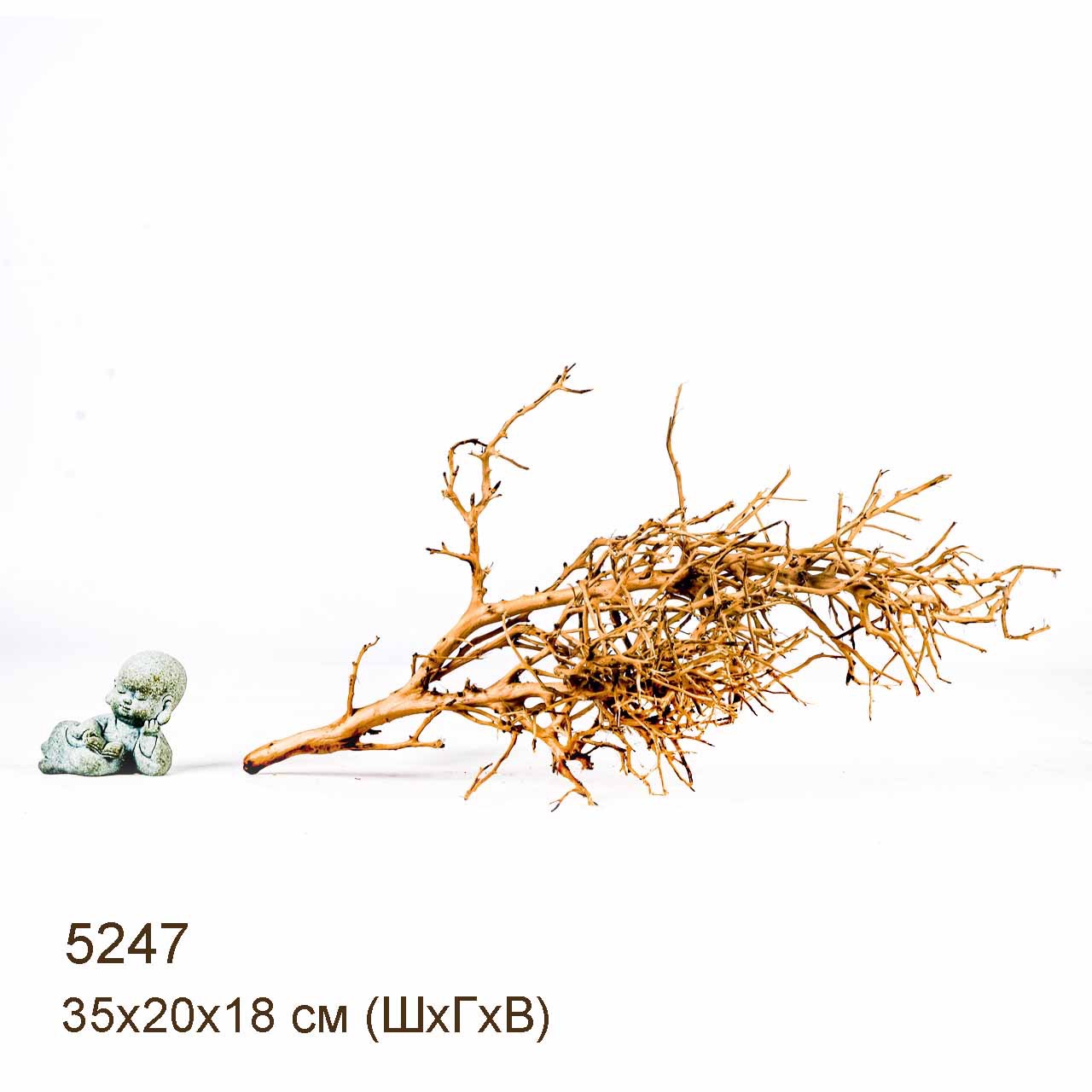 Коряга MASHA BLOOM Пустынная 5247