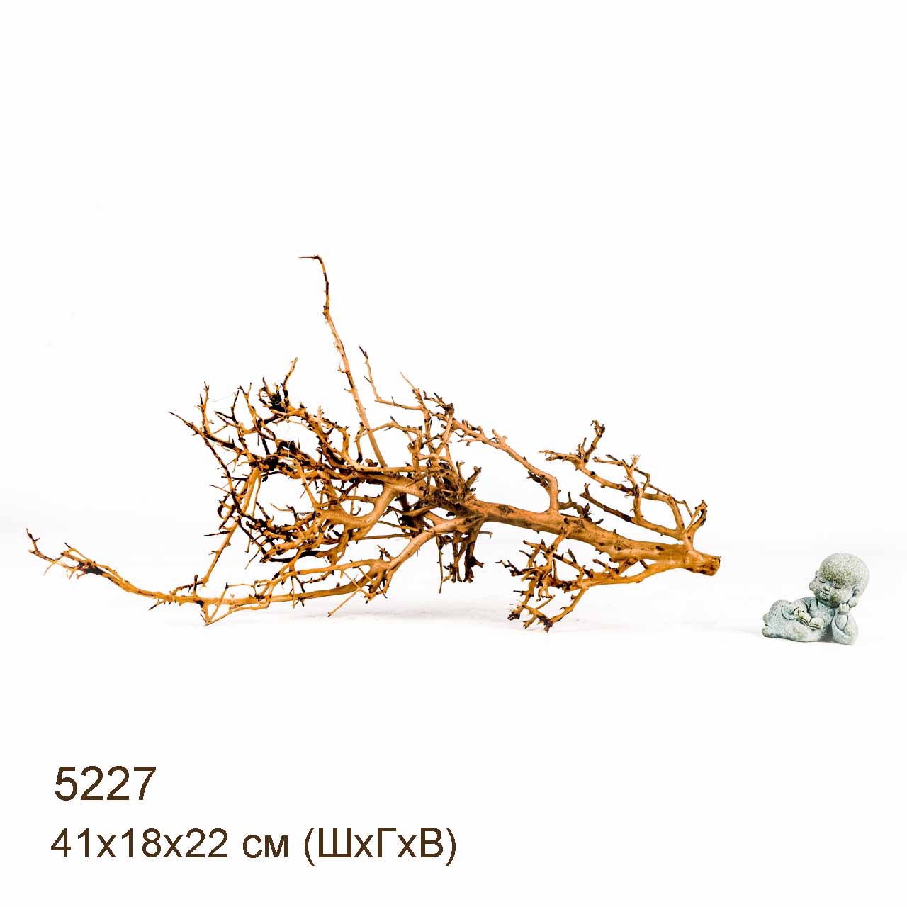 Коряга MASHA BLOOM Пустынная 5227