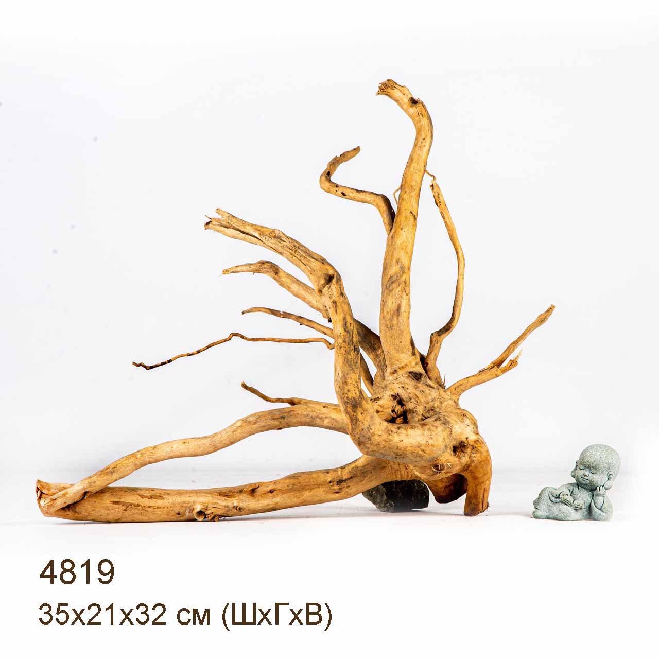 Коряга MASHA BLOOM Корень азалии M - 4819