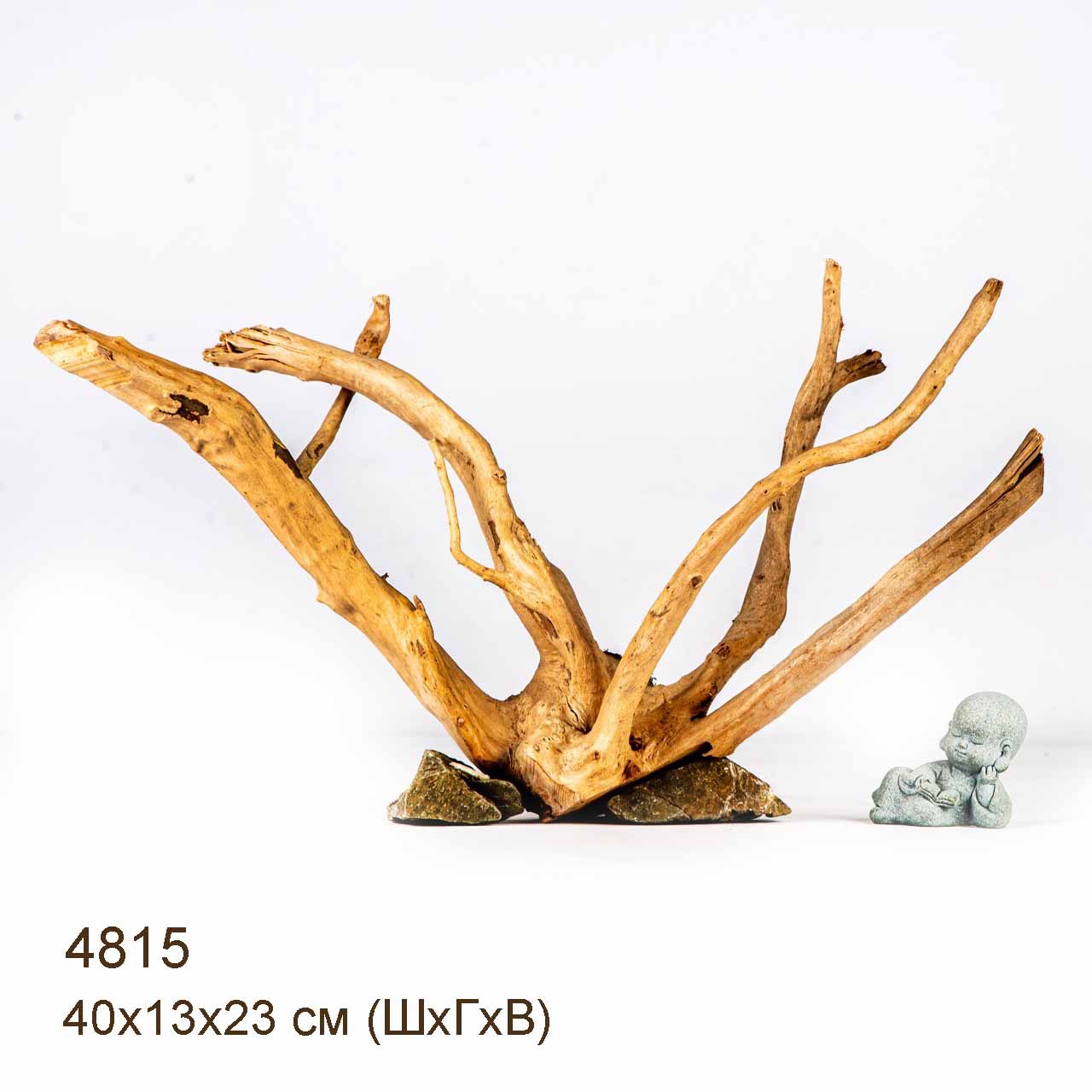 Коряга MASHA BLOOM Корень азалии M - 4815