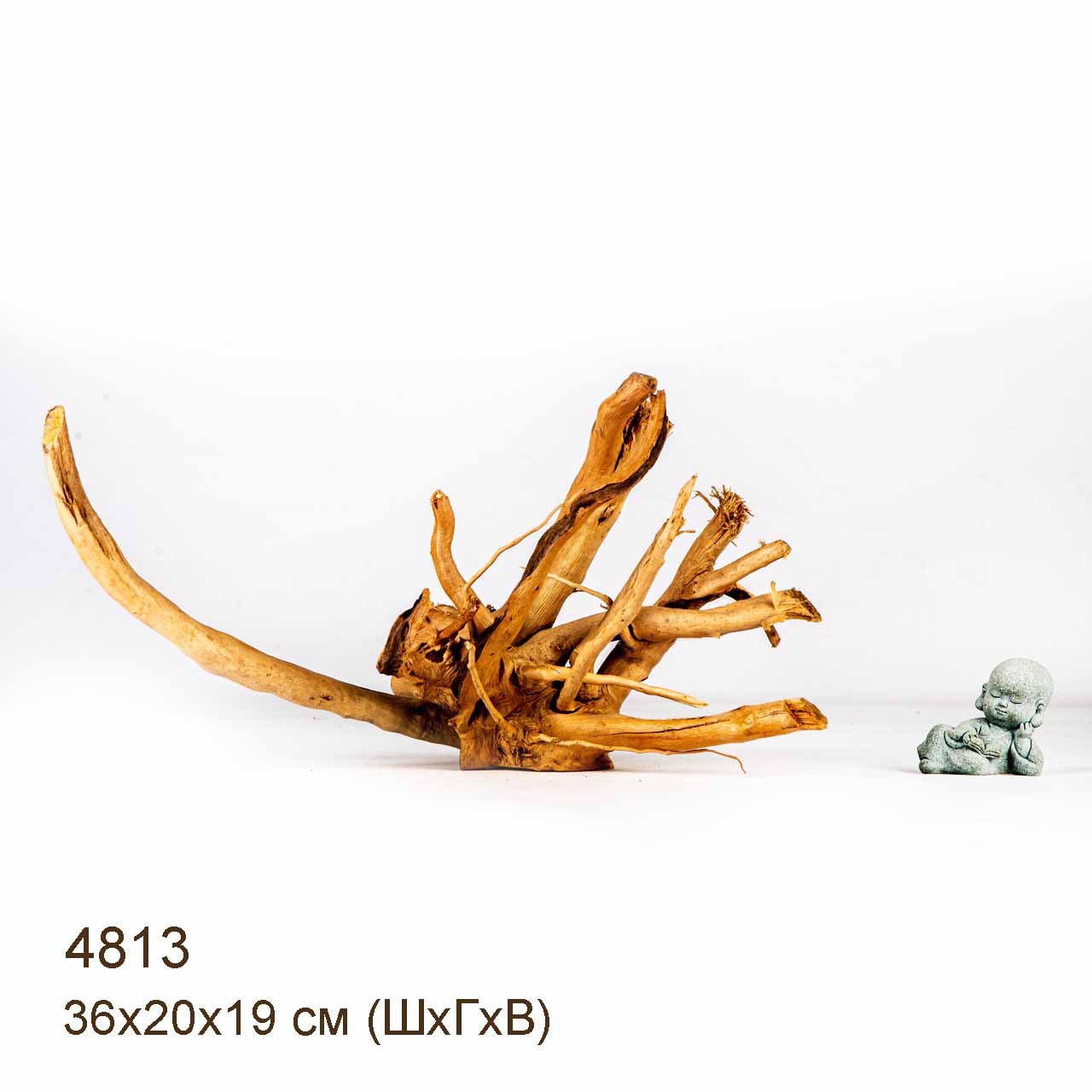 Коряга MASHA BLOOM Корень азалии M - 4813