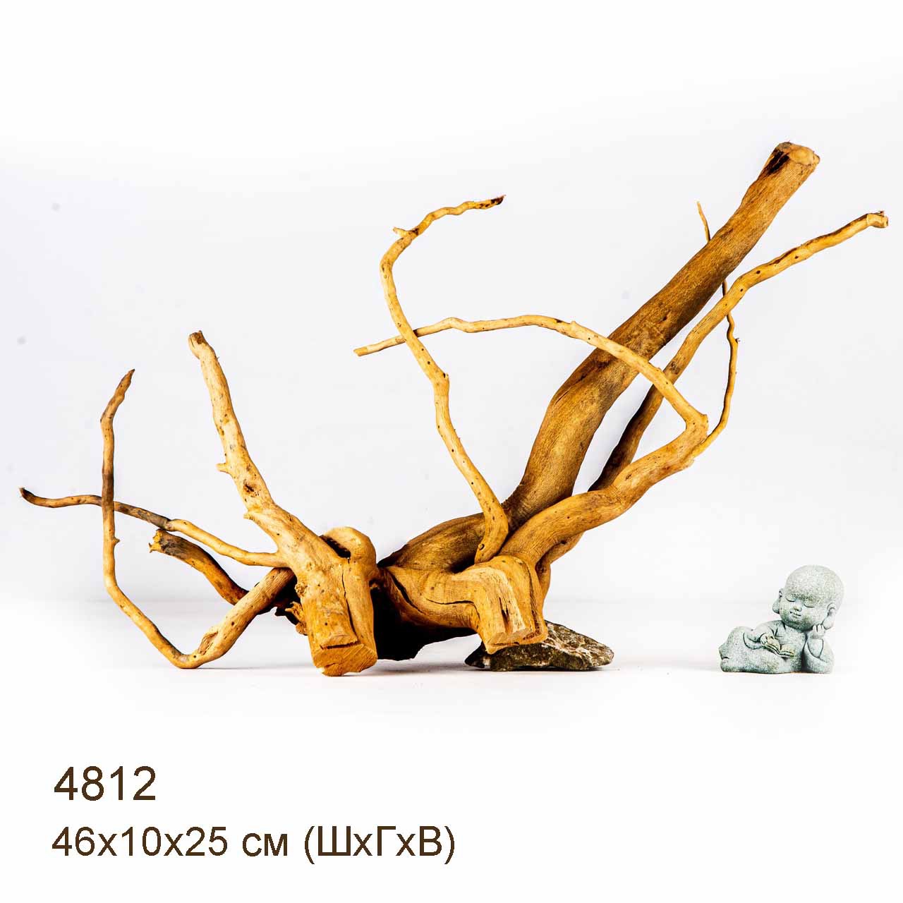 Коряга MASHA BLOOM Корень азалии M - 4812