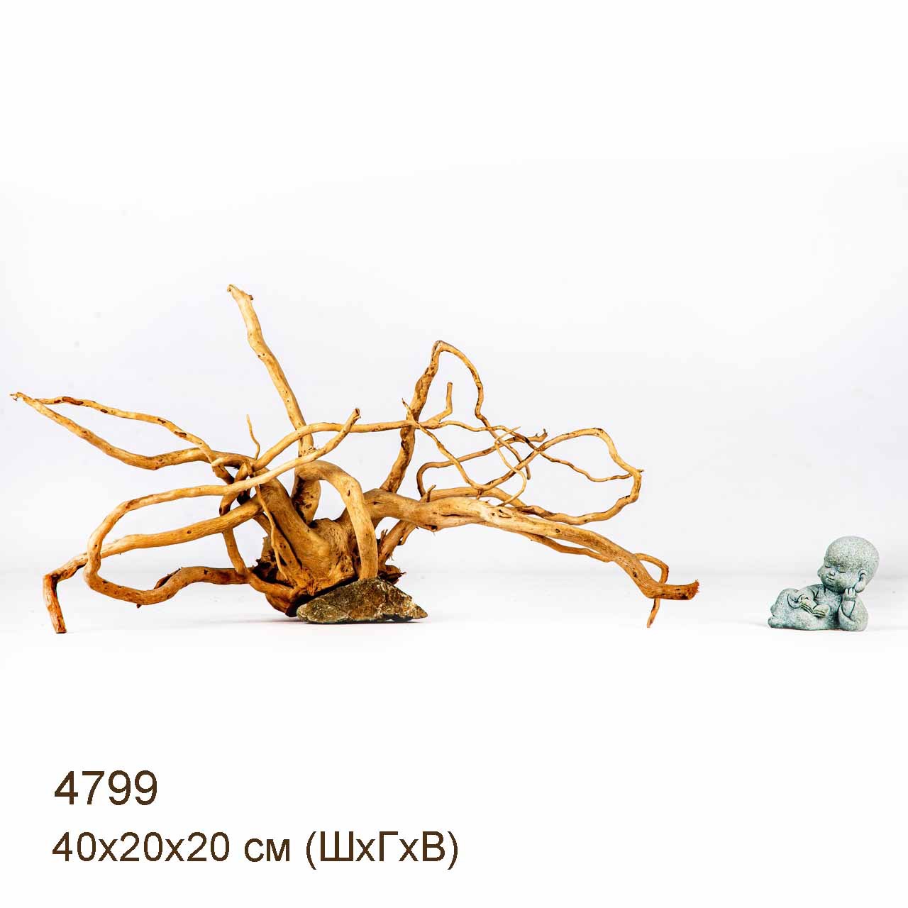 Коряга MASHA BLOOM Корень азалии M - 4799