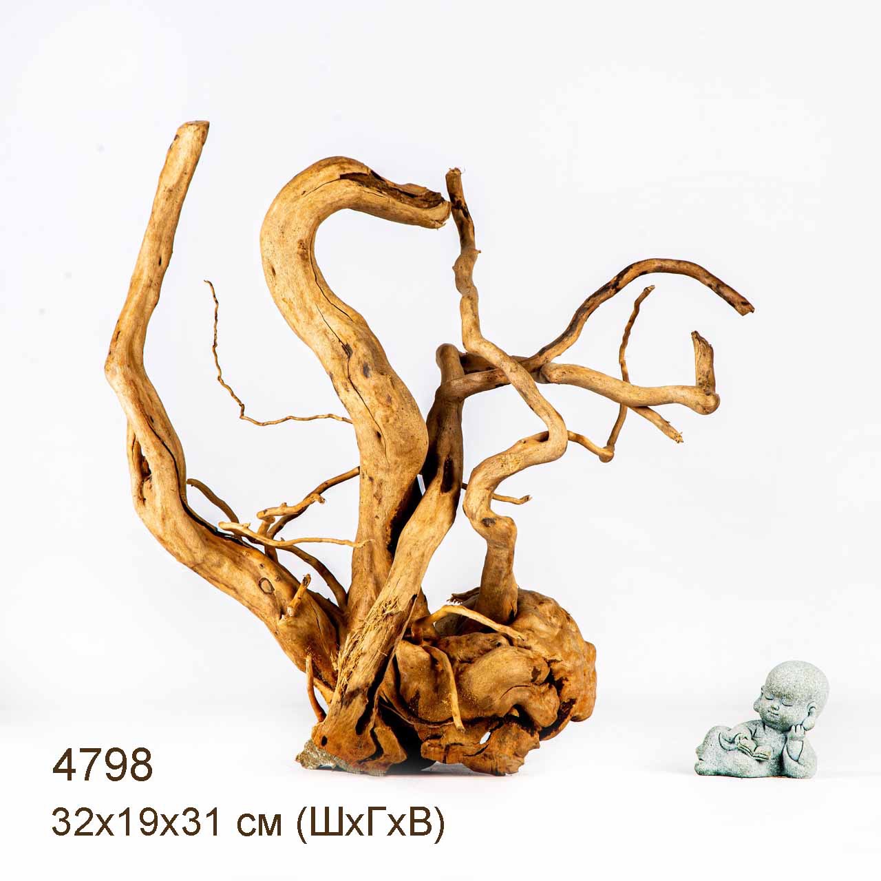 Коряга MASHA BLOOM Корень азалии M - 4798