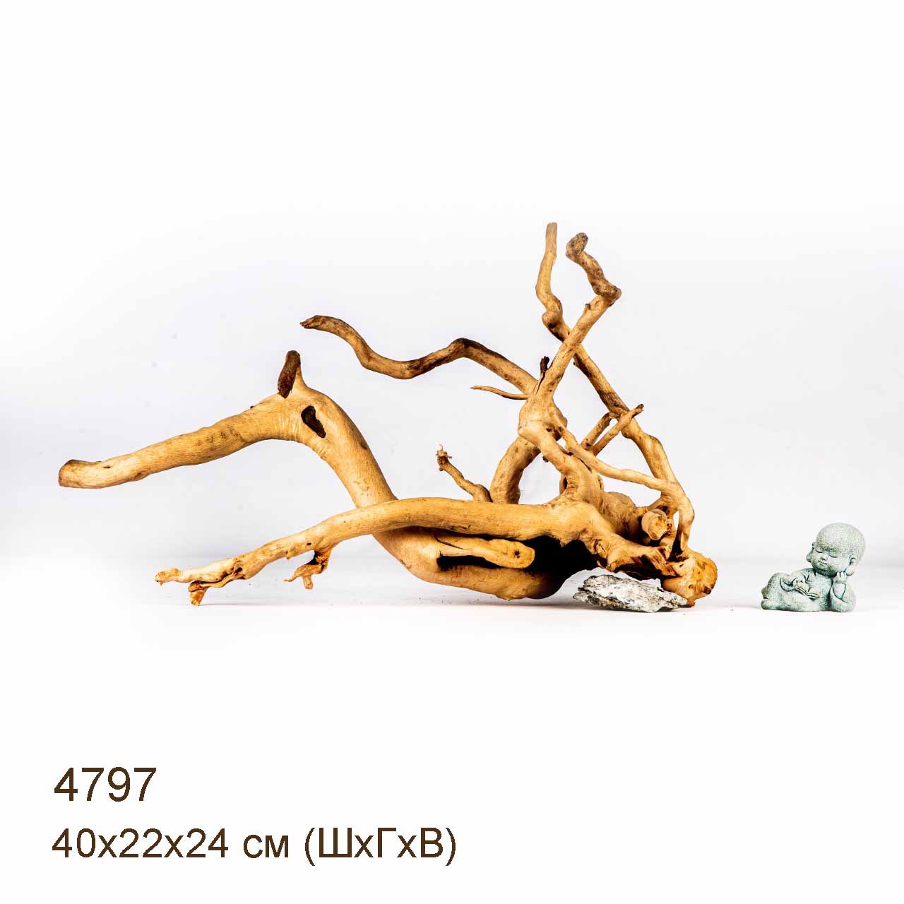 Коряга MASHA BLOOM Корень азалии M - 4797