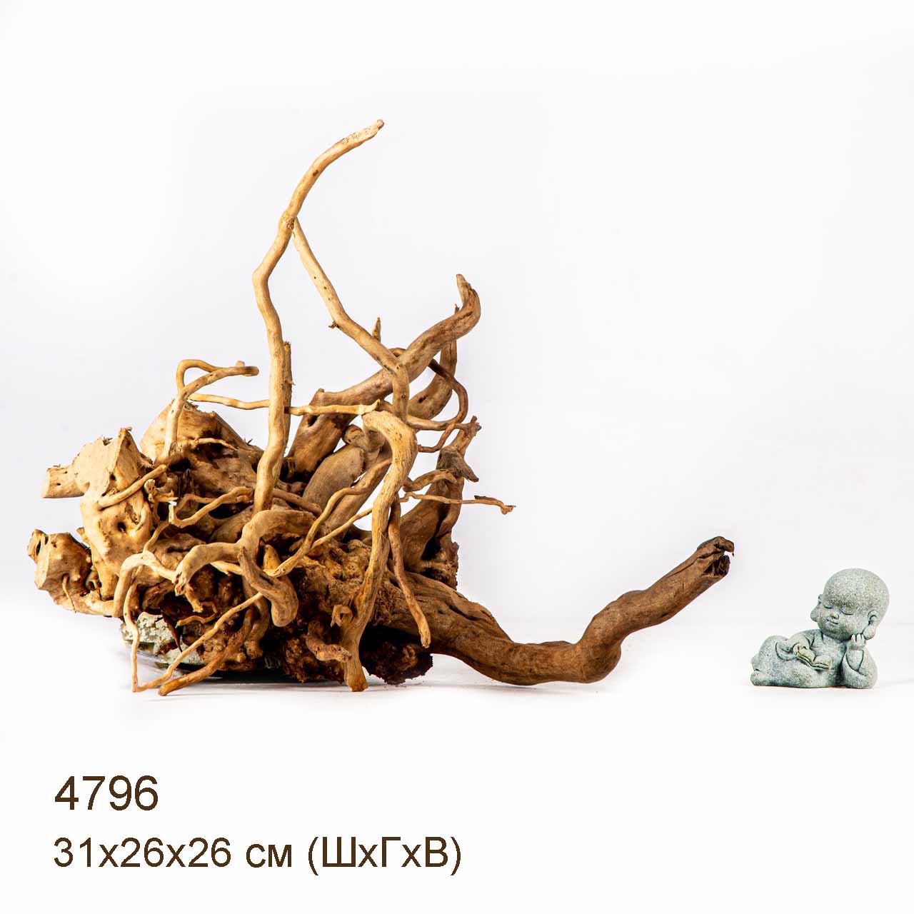 Коряга MASHA BLOOM Корень азалии M - 4796