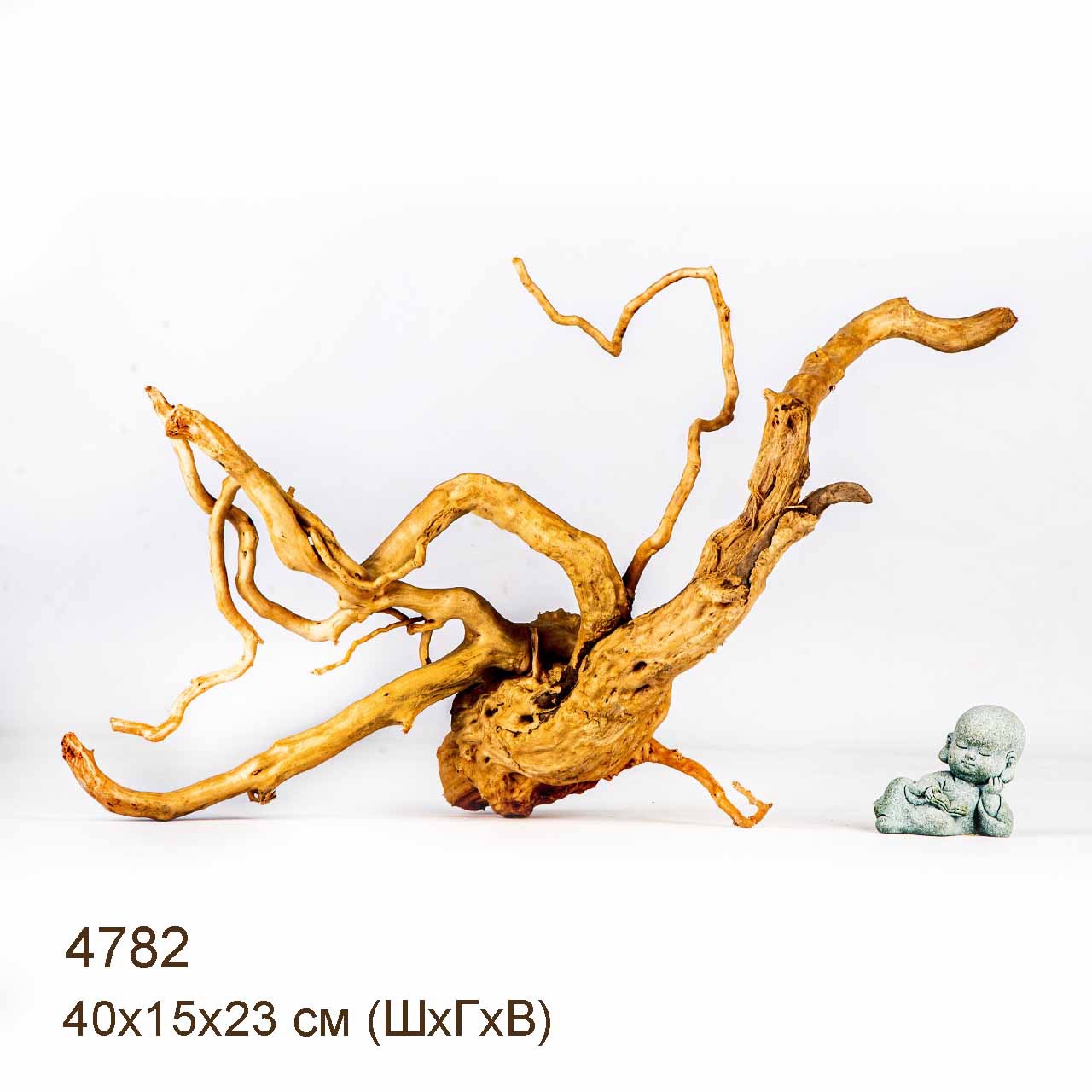 Коряга MASHA BLOOM Корень азалии M - 4782