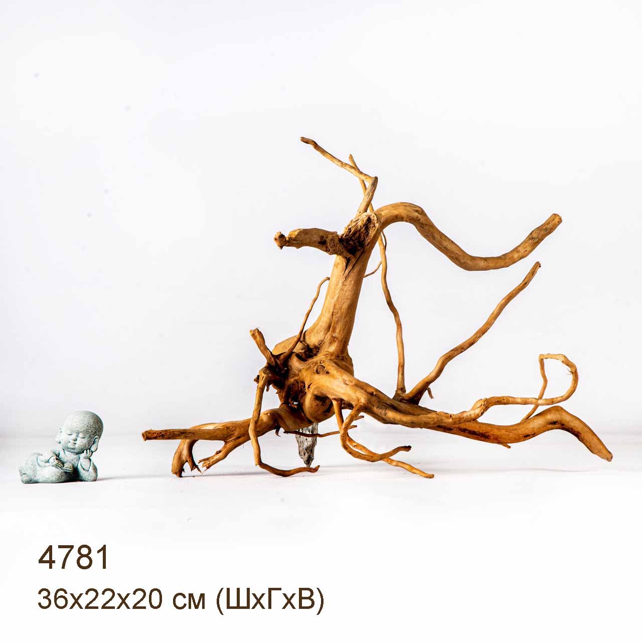 Коряга MASHA BLOOM Корень азалии M - 4781