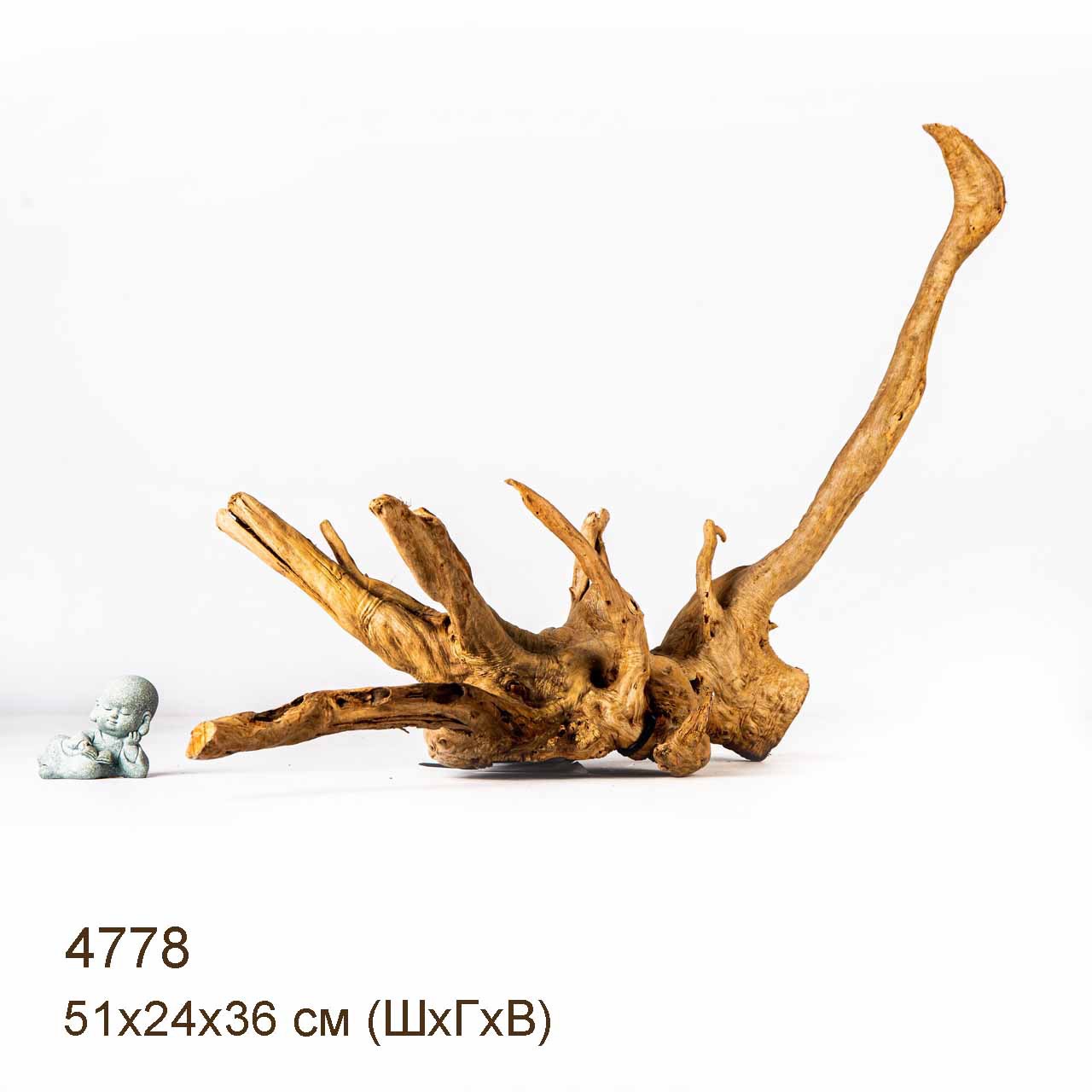 Коряга MASHA BLOOM Корень азалии M - 4778