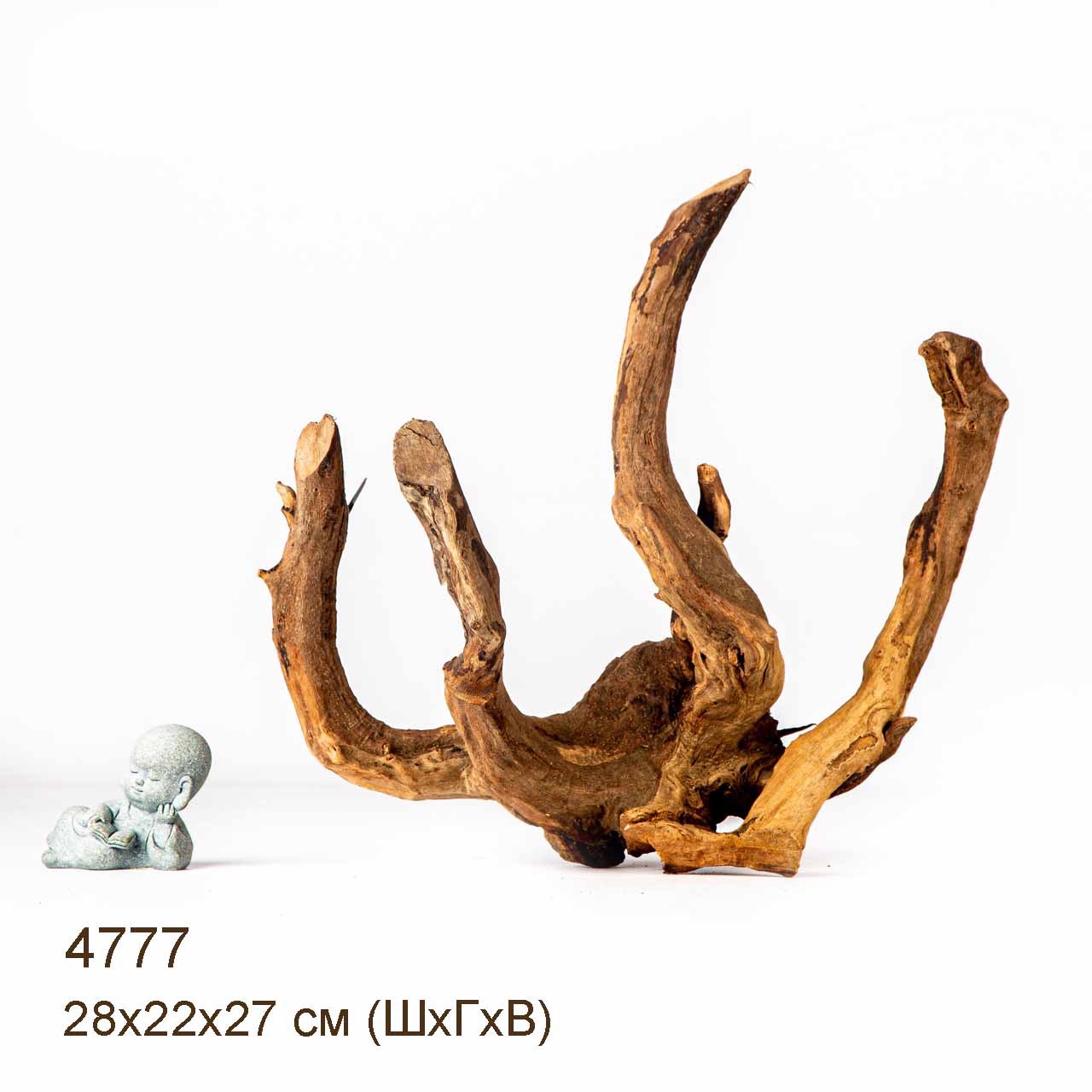 Коряга MASHA BLOOM Корень азалии M - 4777