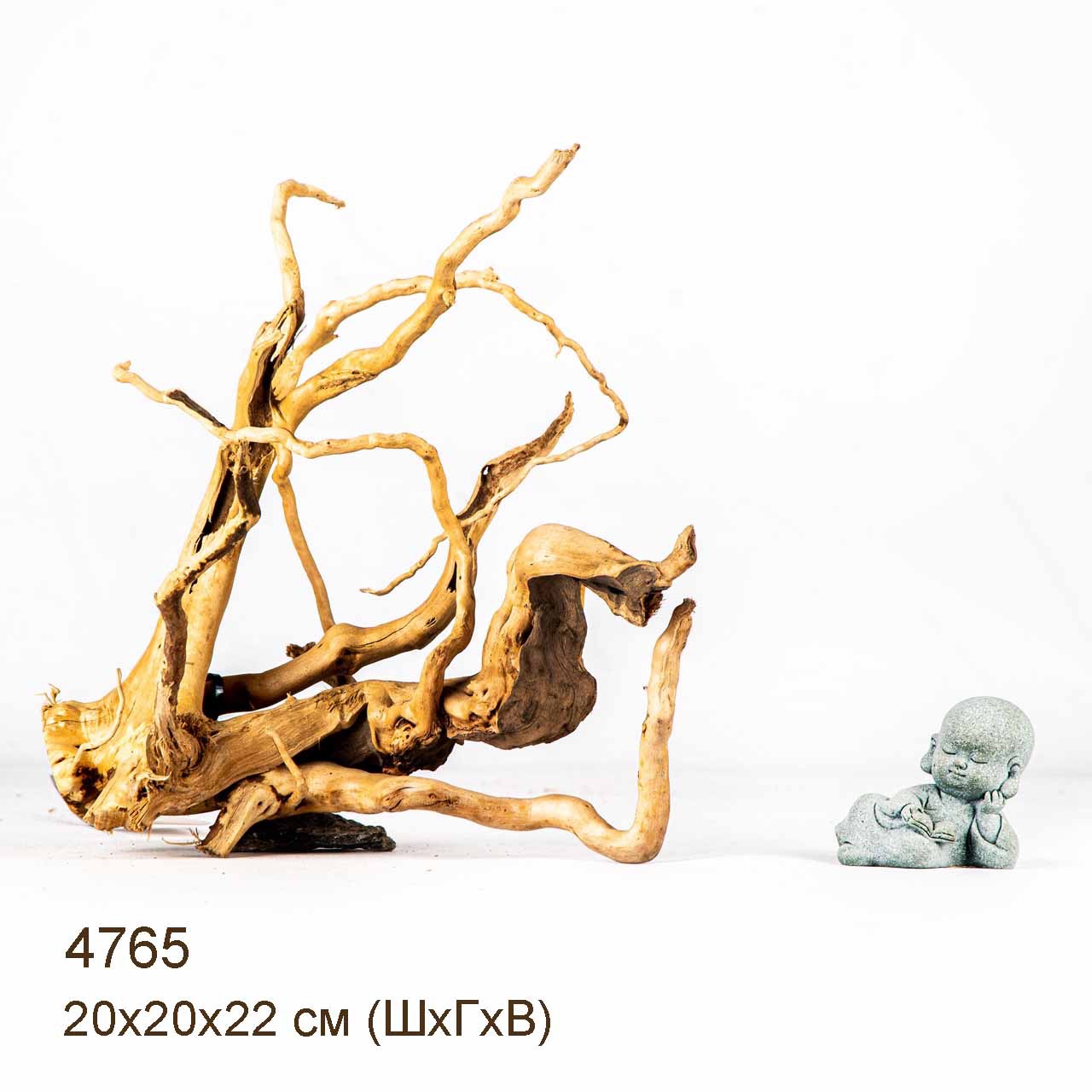 Коряга MASHA BLOOM Корень азалии M - 4765