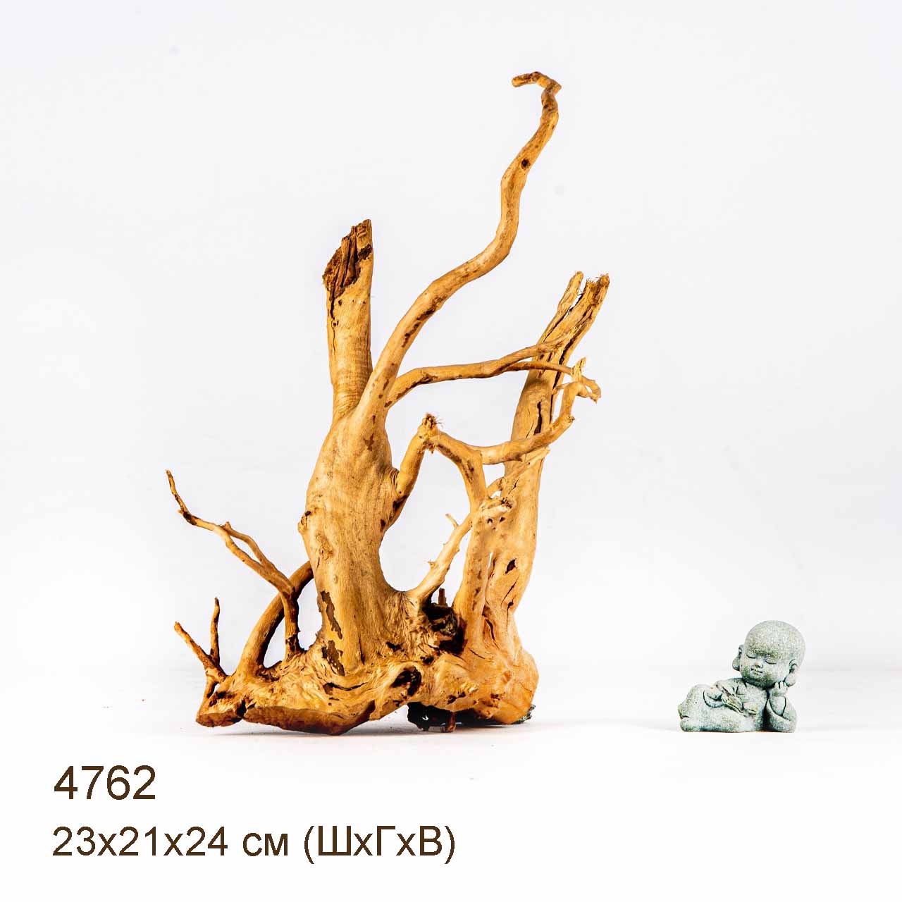 Коряга MASHA BLOOM Корень азалии M - 4762