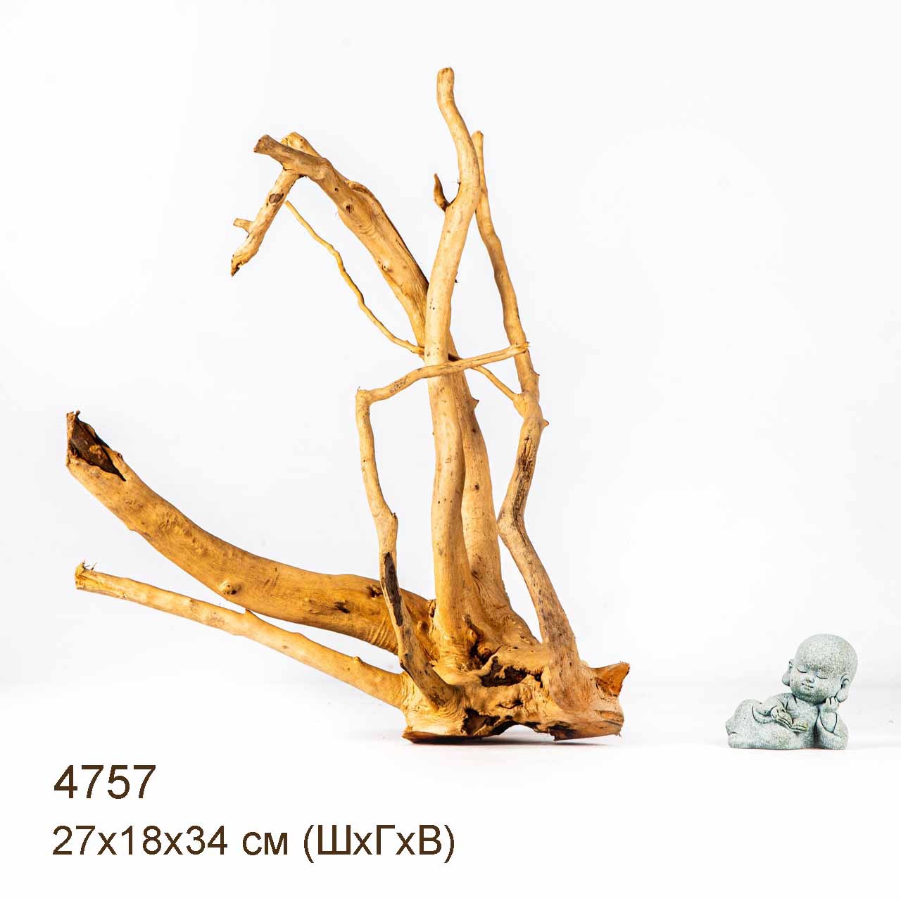 Коряга MASHA BLOOM Корень азалии M - 4757