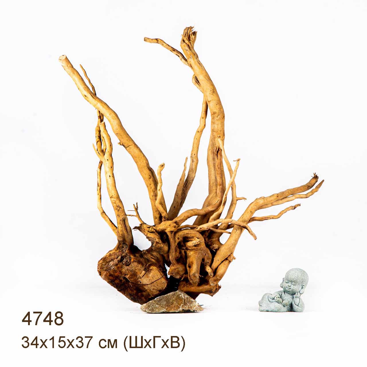 Коряга MASHA BLOOM Корень азалии M - 4748