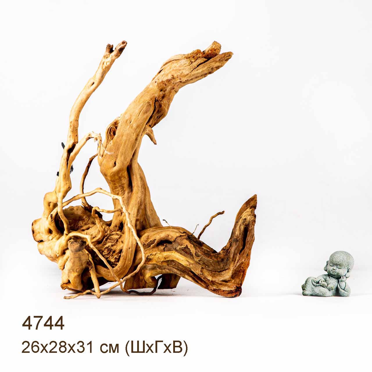 Коряга MASHA BLOOM Корень азалии M - 4744