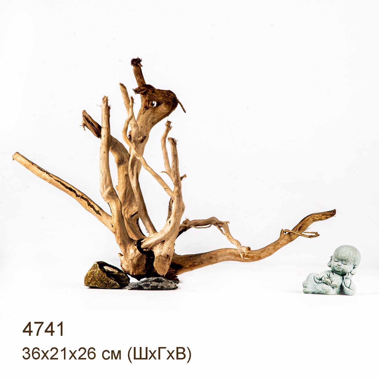 Коряга MASHA BLOOM Корень азалии M - 4741