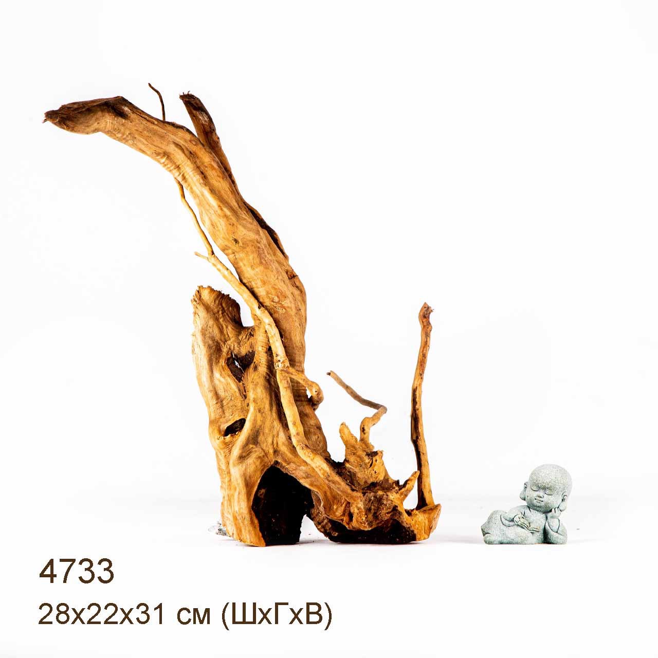 Коряга MASHA BLOOM Корень азалии M - 4733