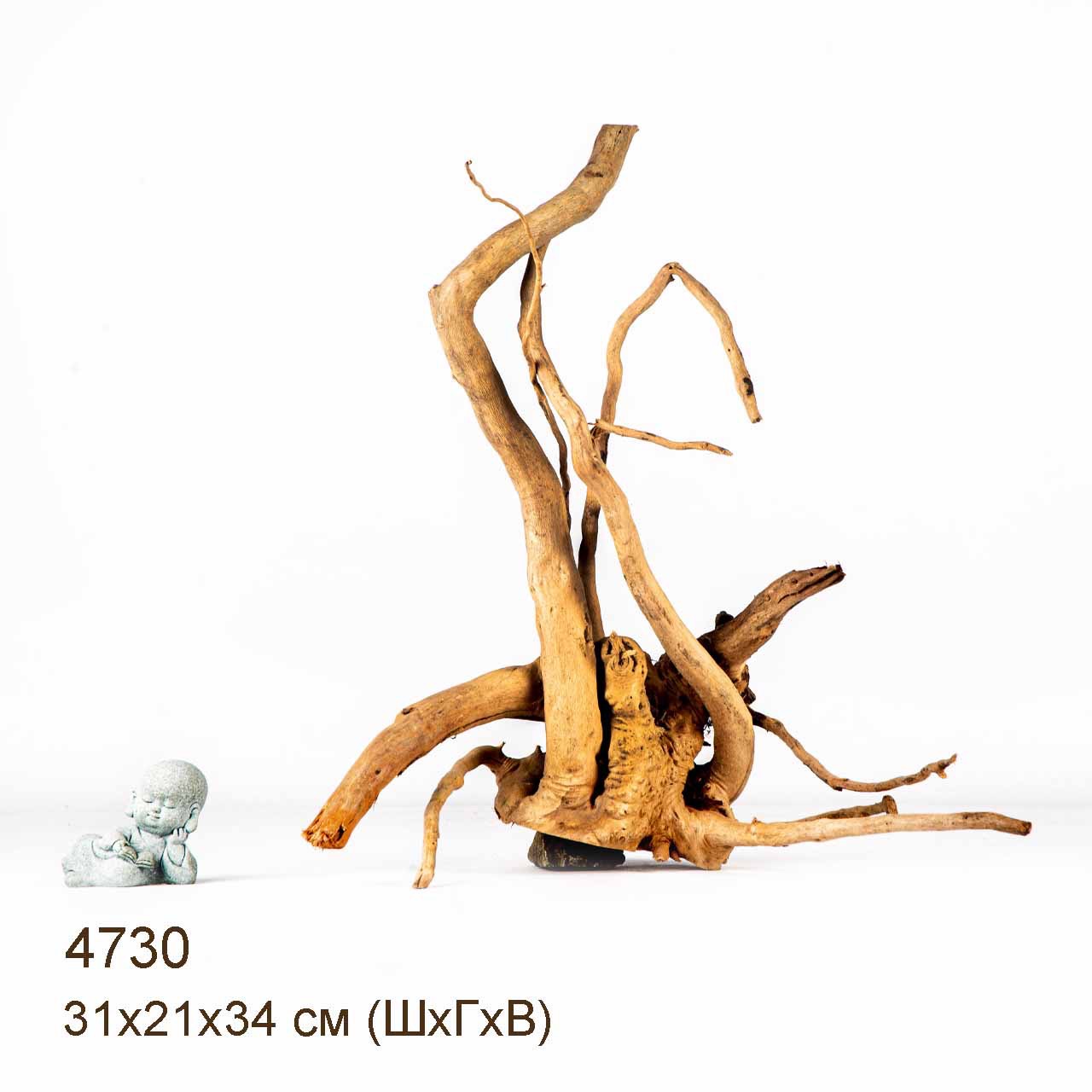 Коряга MASHA BLOOM Корень азалии M - 4730