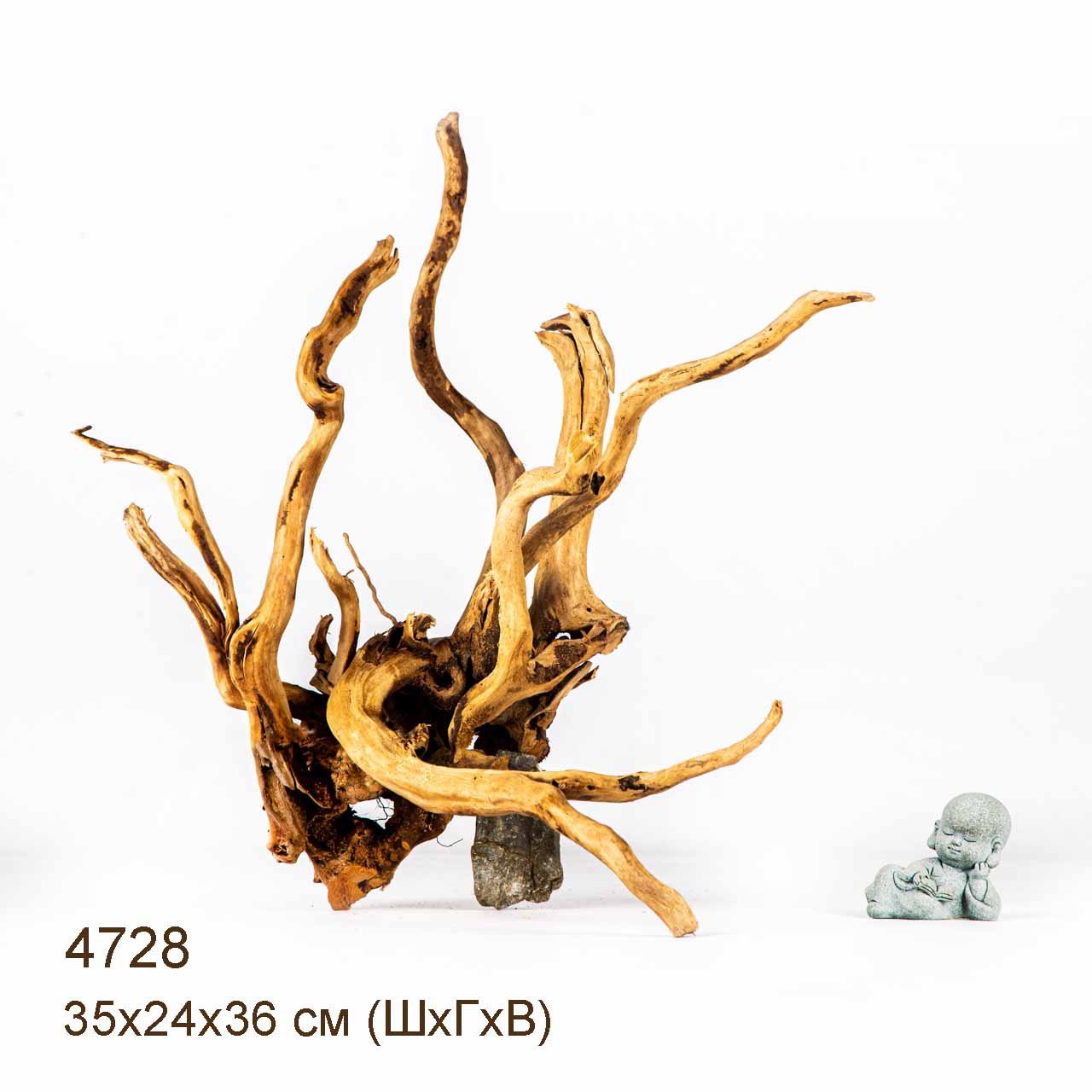 Коряга MASHA BLOOM Корень азалии M - 4728