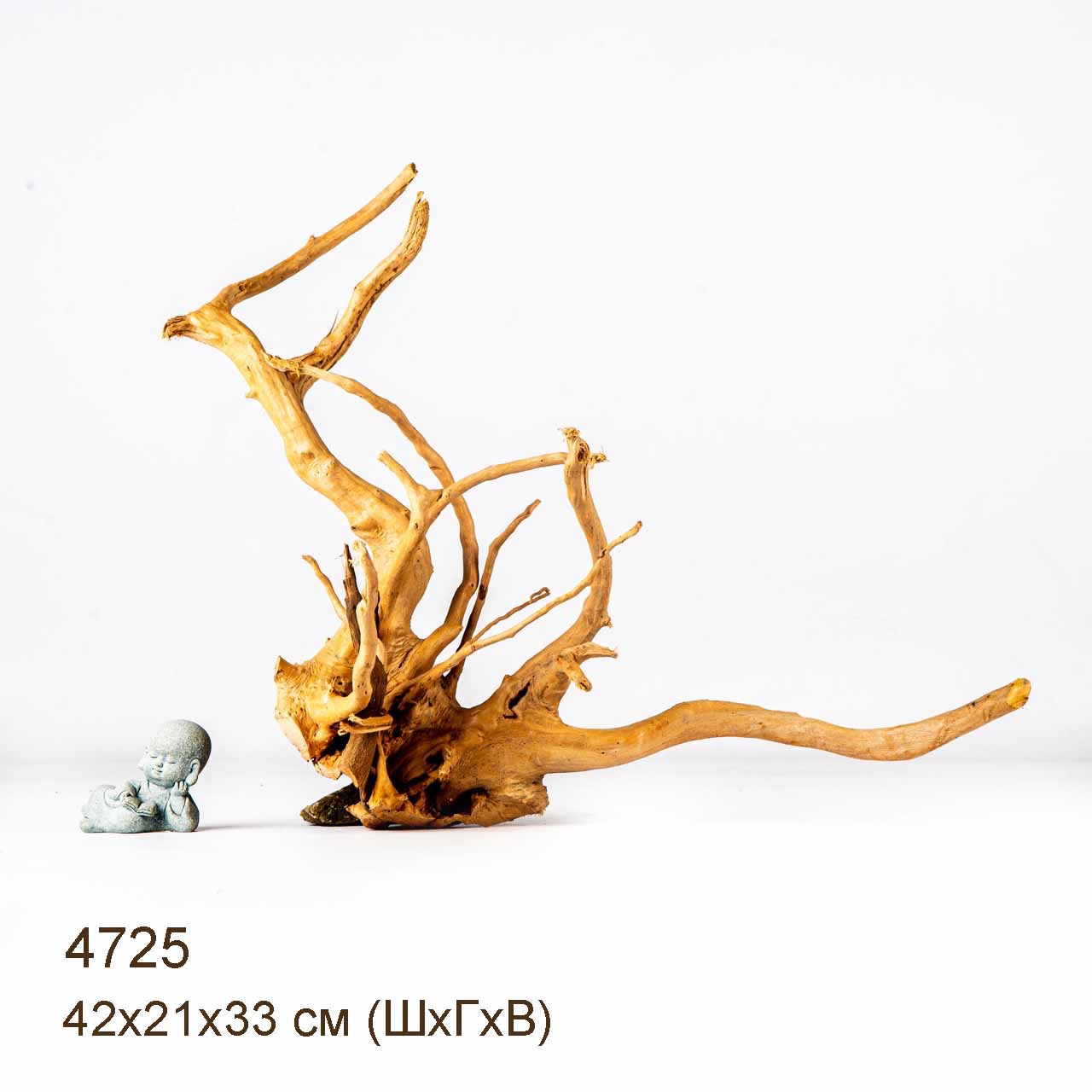 Коряга MASHA BLOOM Корень азалии M - 4725