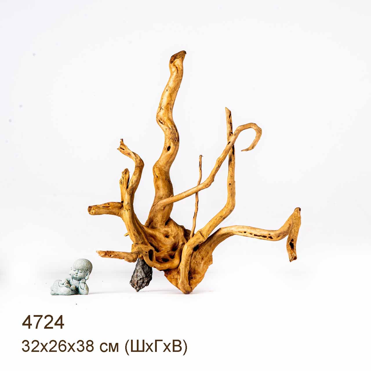 Коряга MASHA BLOOM Корень азалии M - 4724