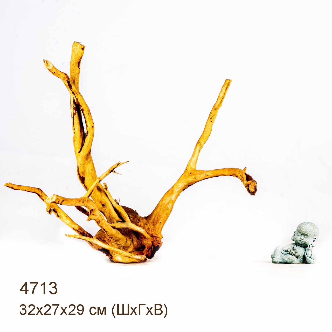 Коряга MASHA BLOOM Корень азалии M - 4713