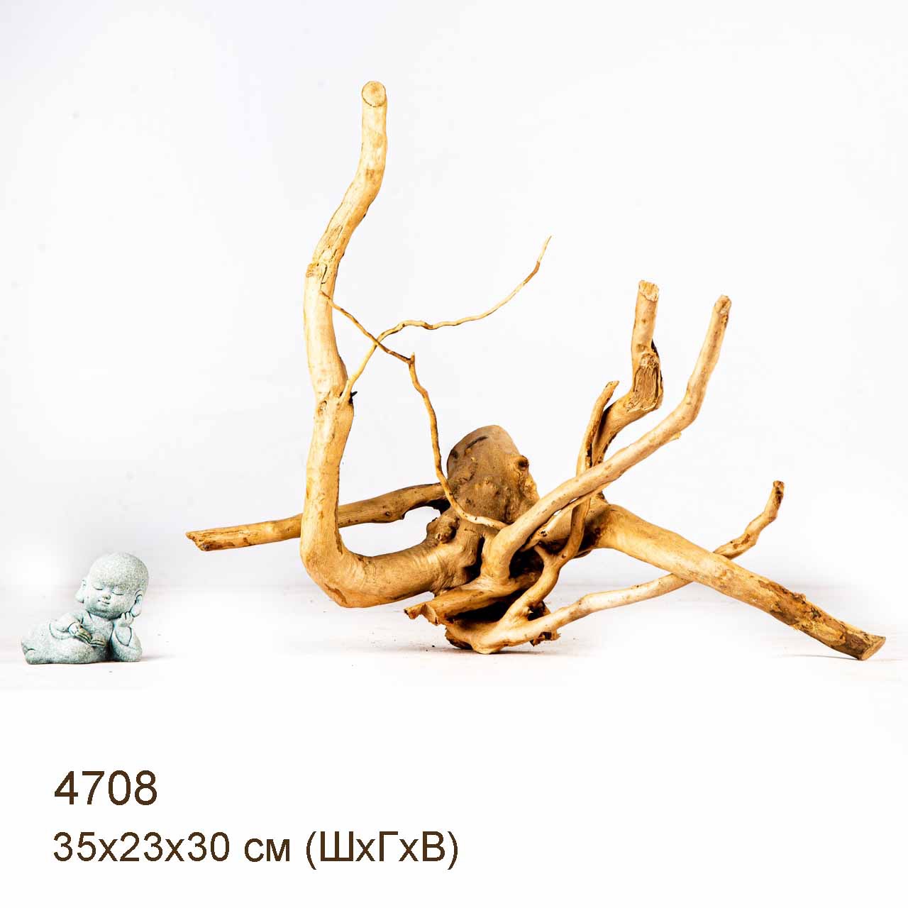 Коряга MASHA BLOOM Корень азалии M - 4708