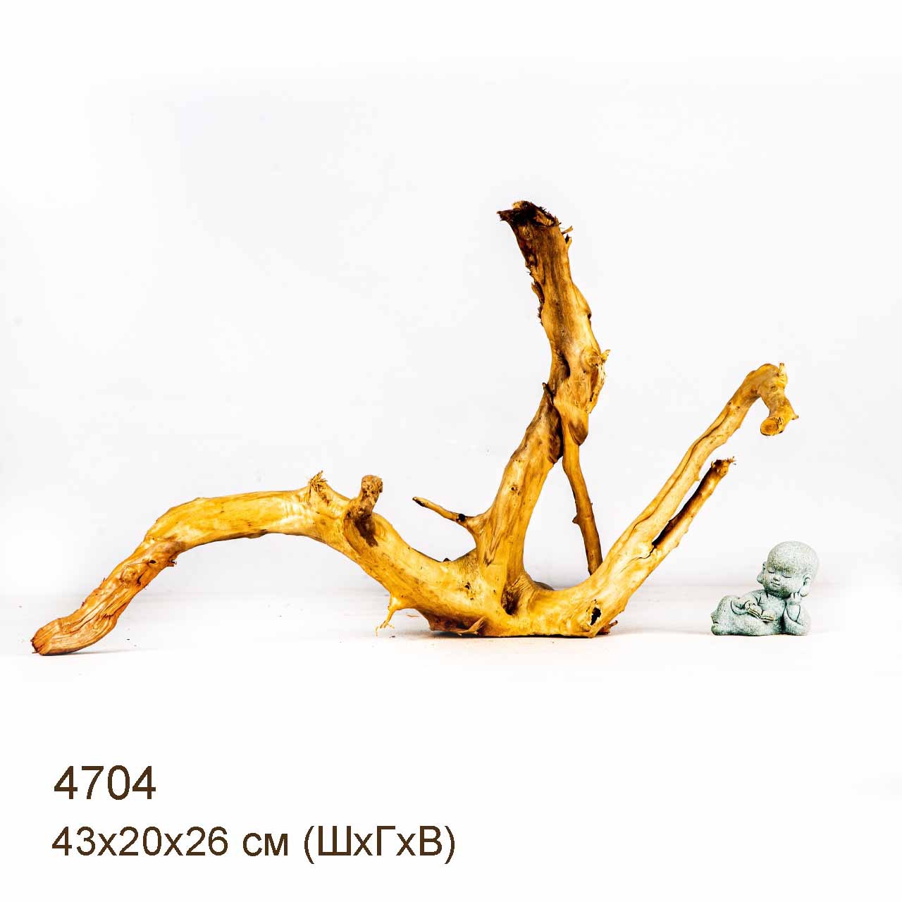 Коряга MASHA BLOOM Корень азалии M - 4704