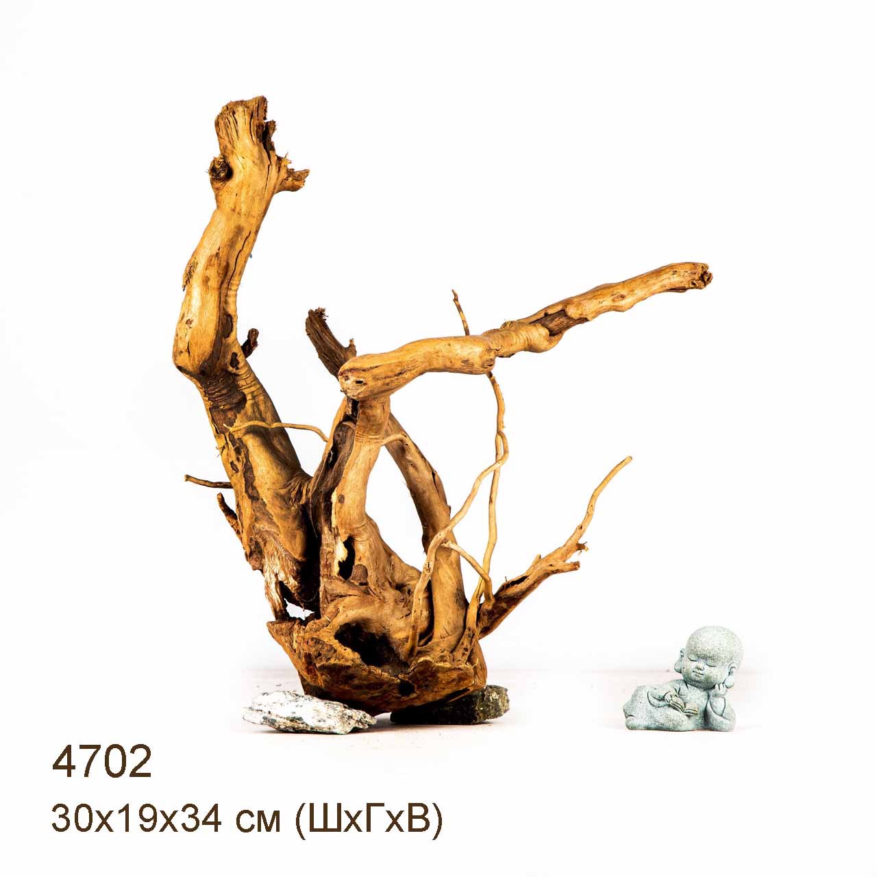 Коряга MASHA BLOOM Корень азалии M - 4702