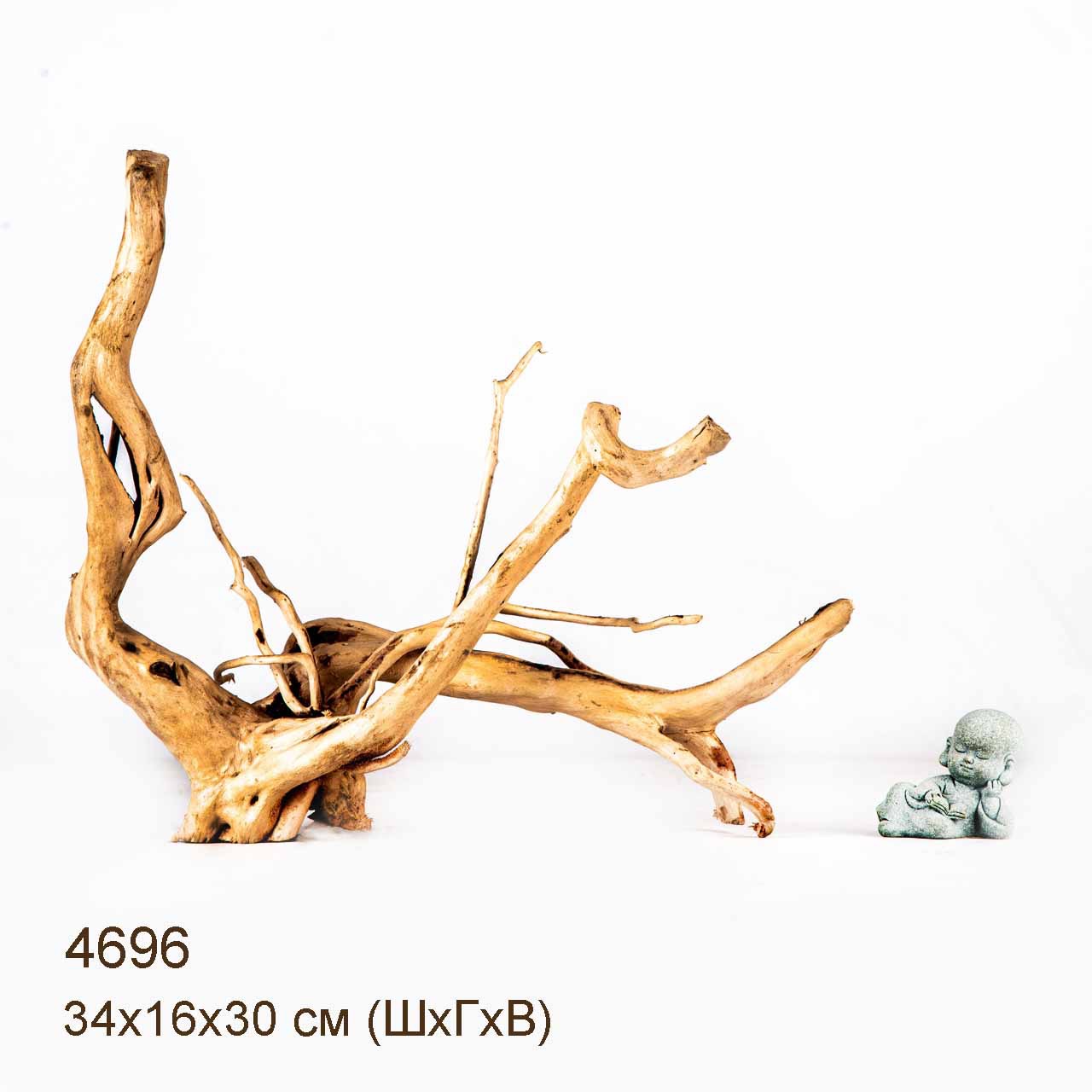 Коряга MASHA BLOOM Корень азалии M - 4696