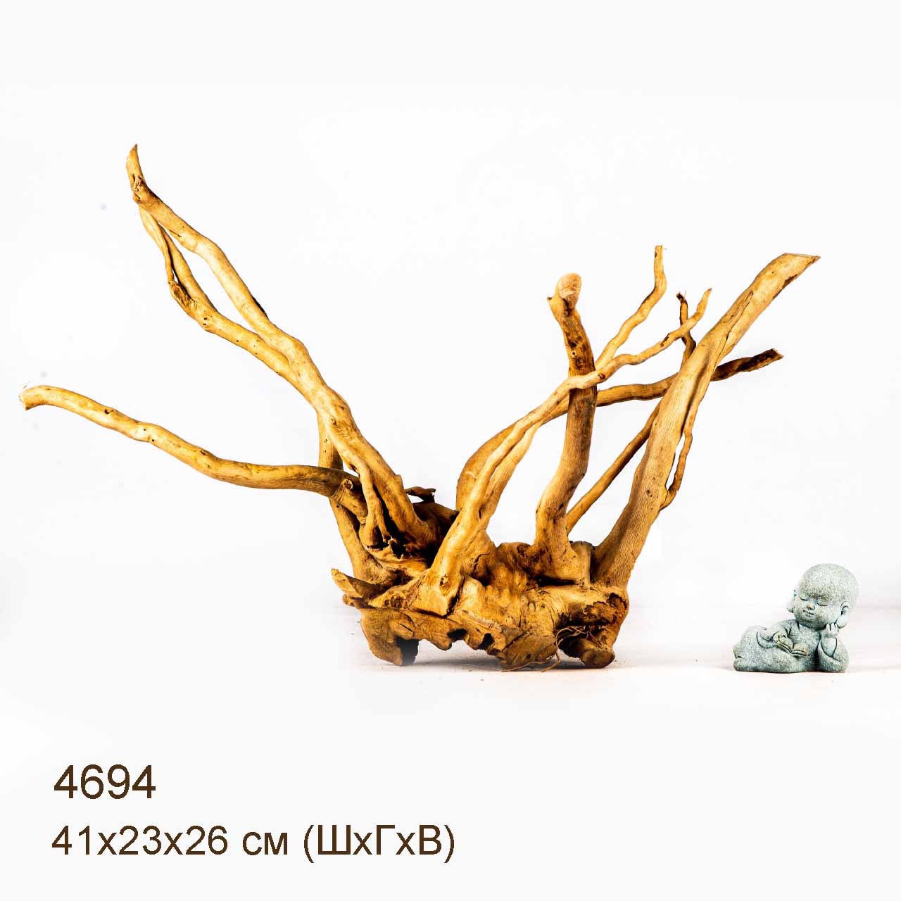 Коряга MASHA BLOOM Корень азалии M - 4694