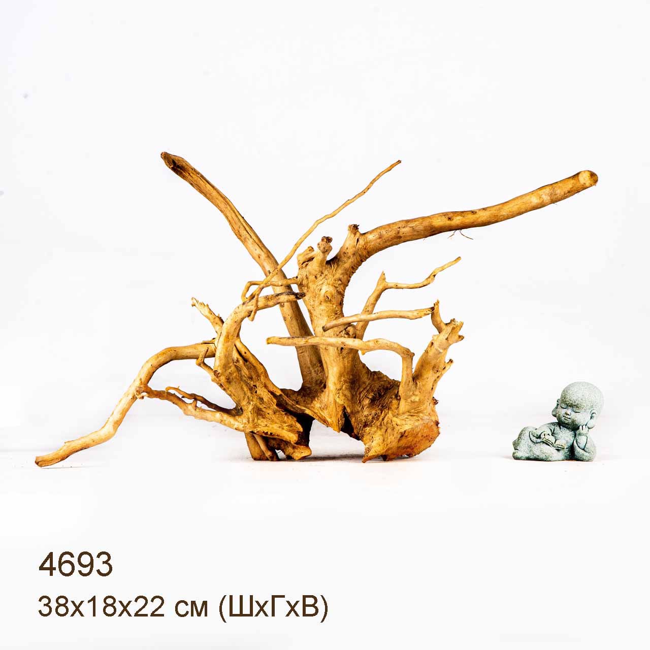 Коряга MASHA BLOOM Корень азалии M - 4693