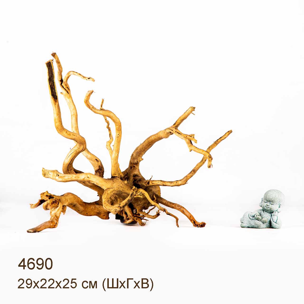 Коряга MASHA BLOOM Корень азалии M - 4690