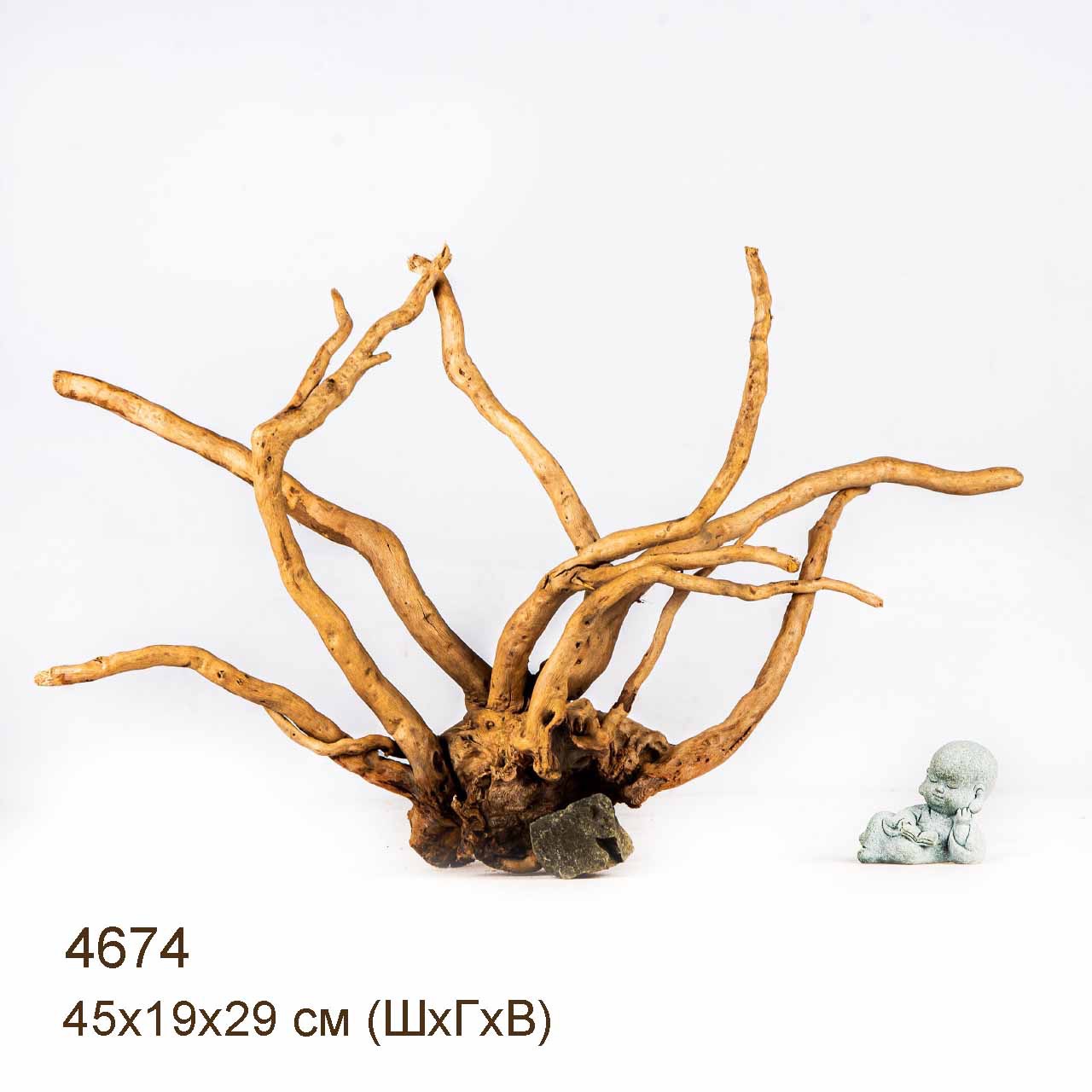 Коряга MASHA BLOOM Корень азалии M - 4674