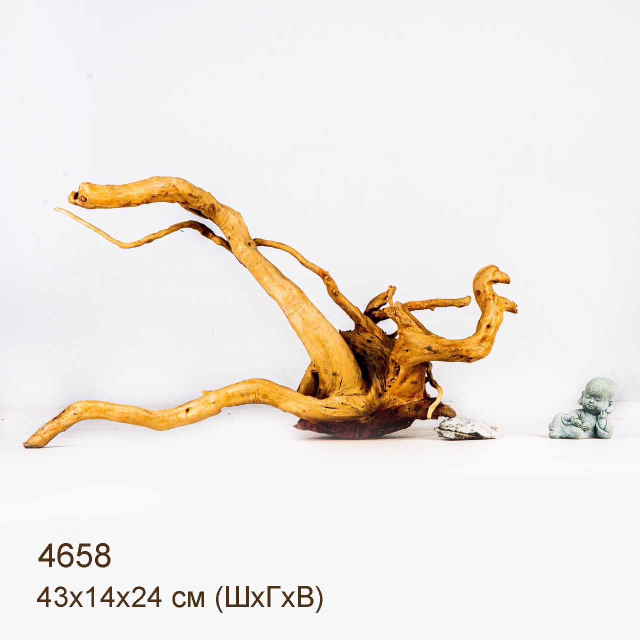 Коряга MASHA BLOOM Корень азалии M - 4658