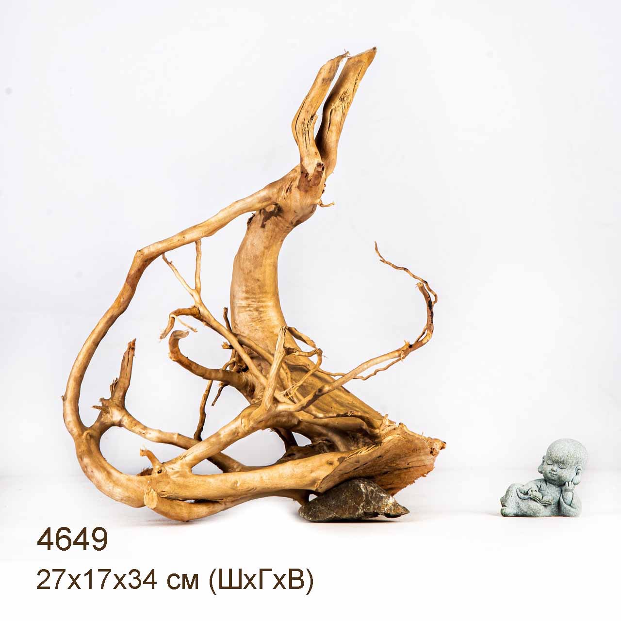 Коряга MASHA BLOOM Корень азалии M - 4649