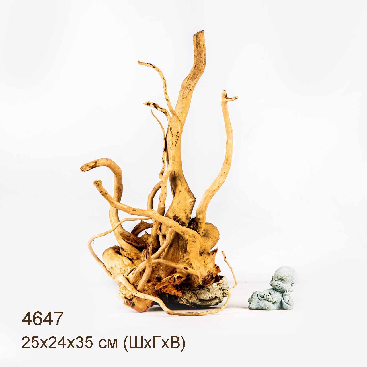 Коряга MASHA BLOOM Корень азалии M - 4647