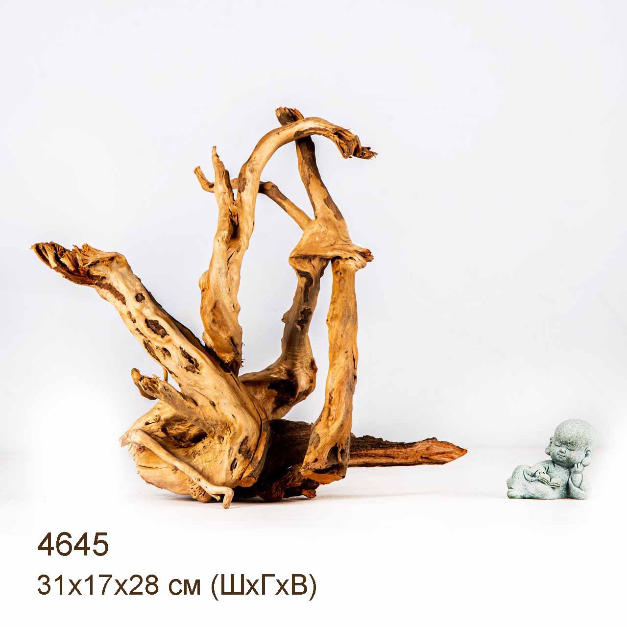 Коряга MASHA BLOOM Корень азалии M - 4645