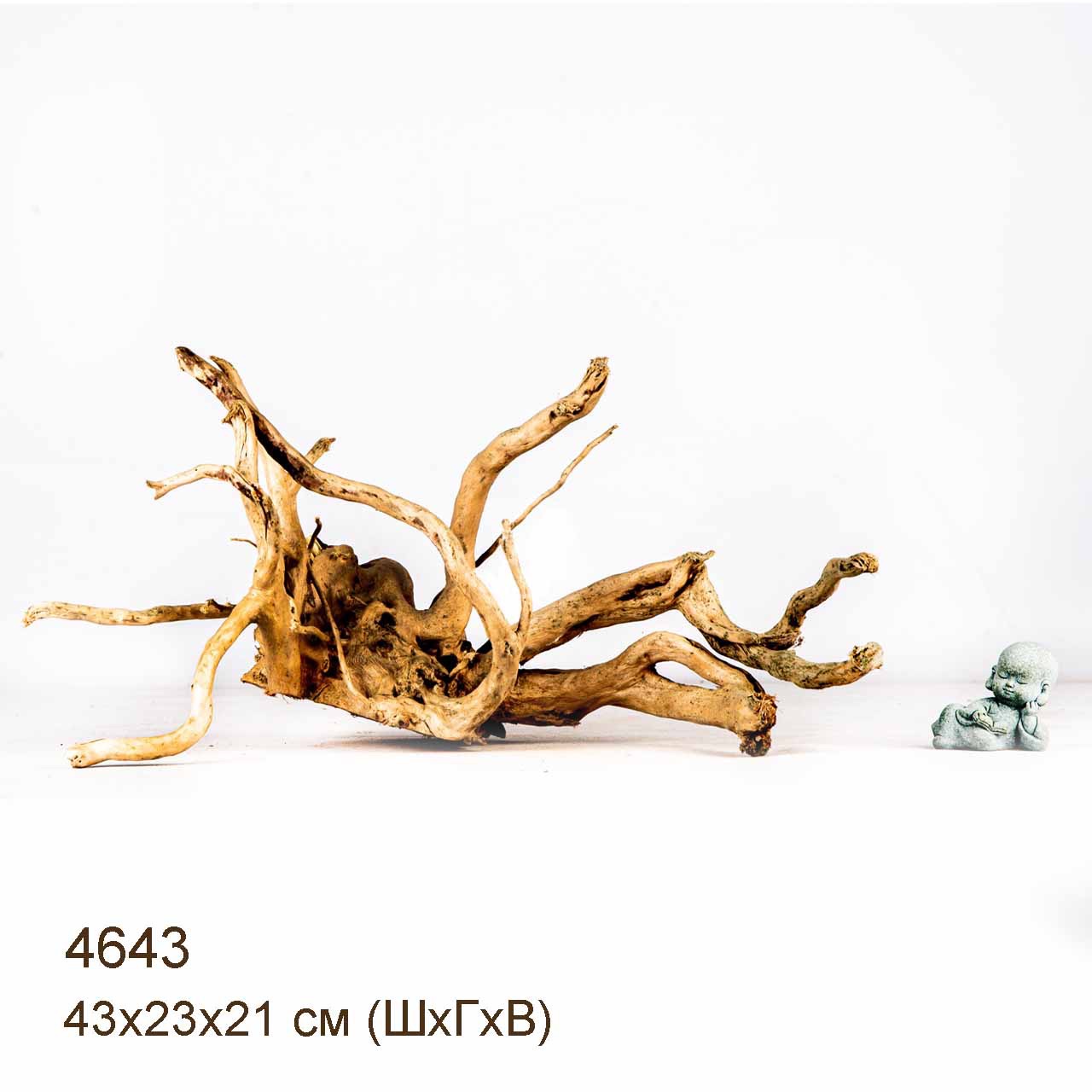 Коряга MASHA BLOOM Корень азалии M - 4643