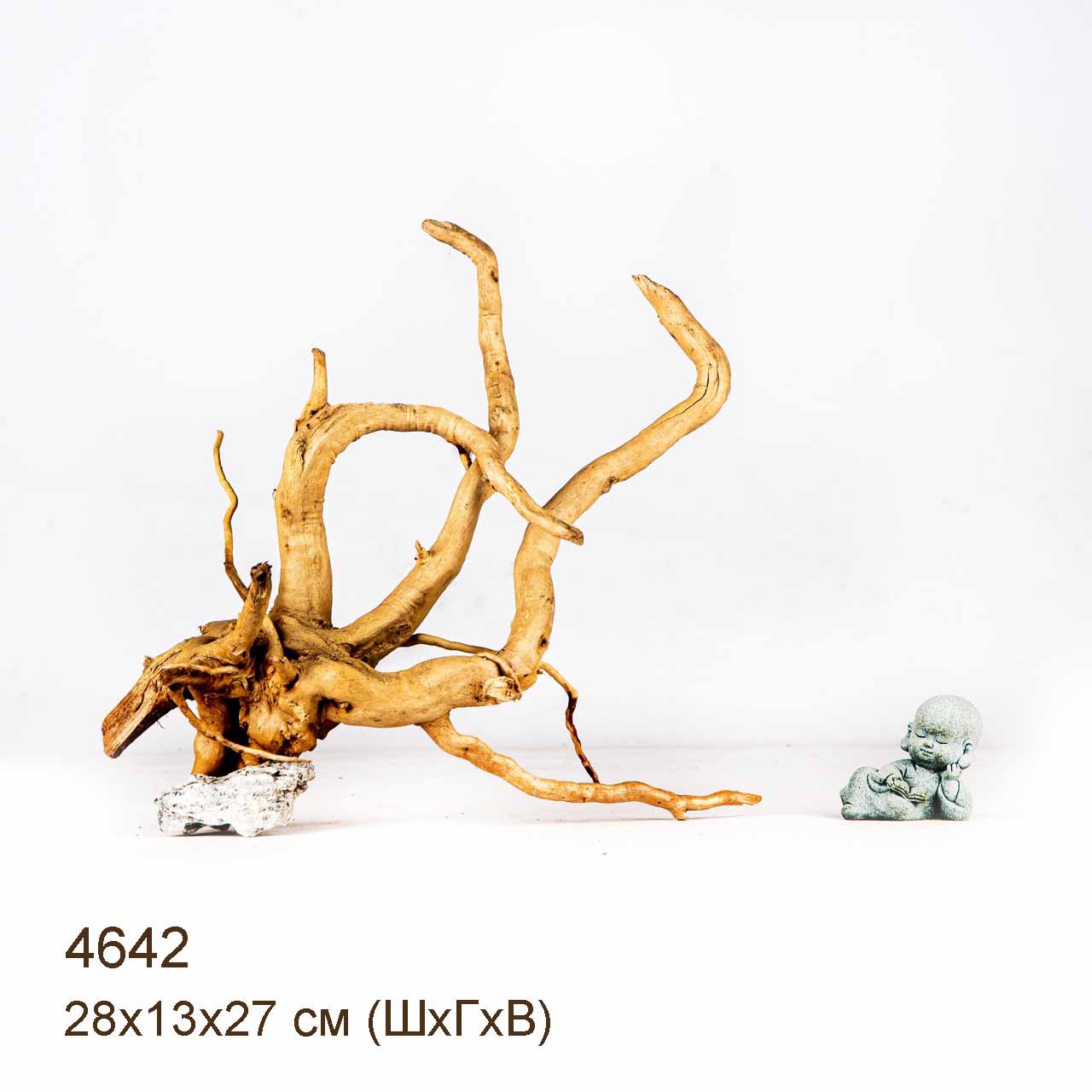 Коряга MASHA BLOOM Корень азалии M - 4642