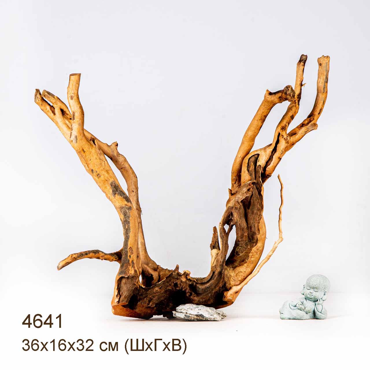 Коряга MASHA BLOOM Корень азалии M - 4641