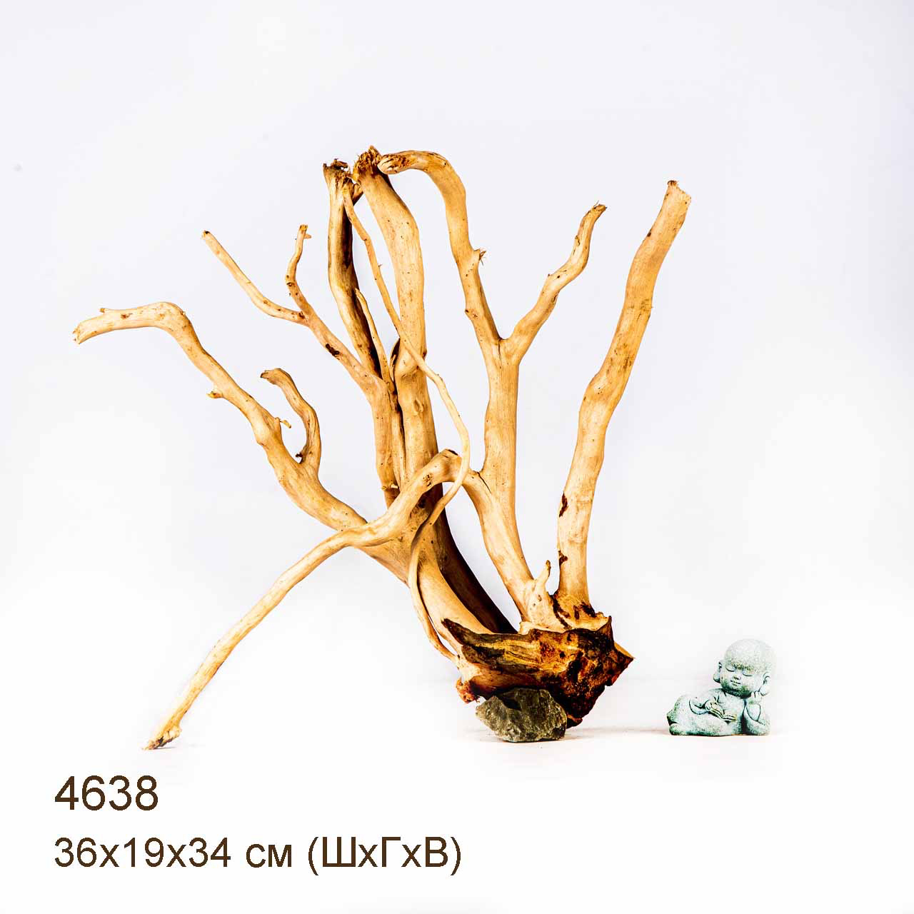 Коряга MASHA BLOOM Корень азалии M - 4638