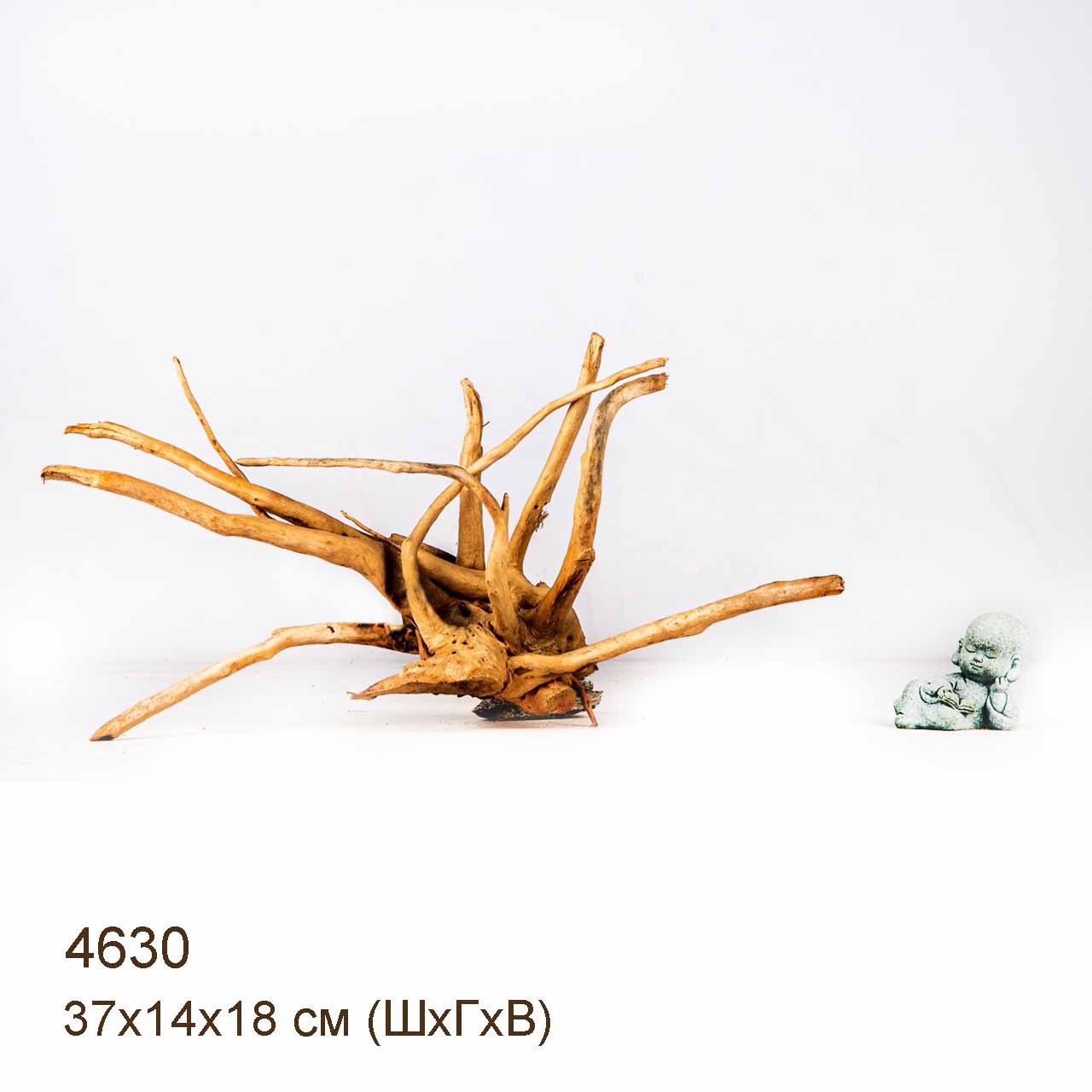 Коряга MASHA BLOOM Корень азалии M - 4630