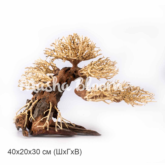 Дерево Masha Bloom Бонсай На ветру L (вправо)