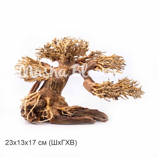 Дерево Masha Bloom Бонсай На ветру S (вправо)