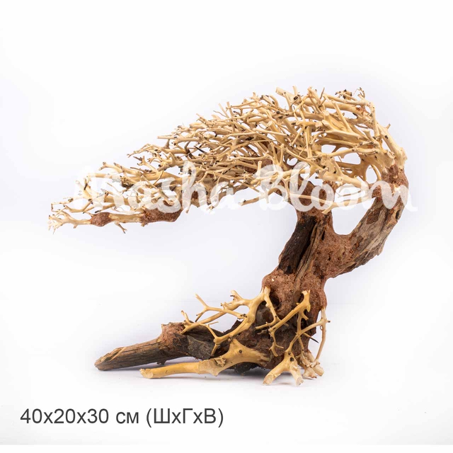 Дерево Masha Bloom Бонсай Ураган L (влево)