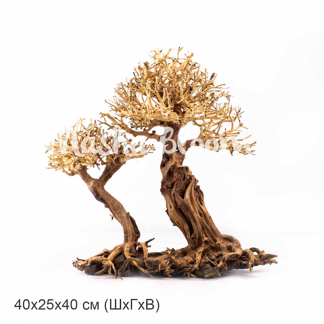 Декорация MASHA BLOOM Дерево Бонсай Дуэт L