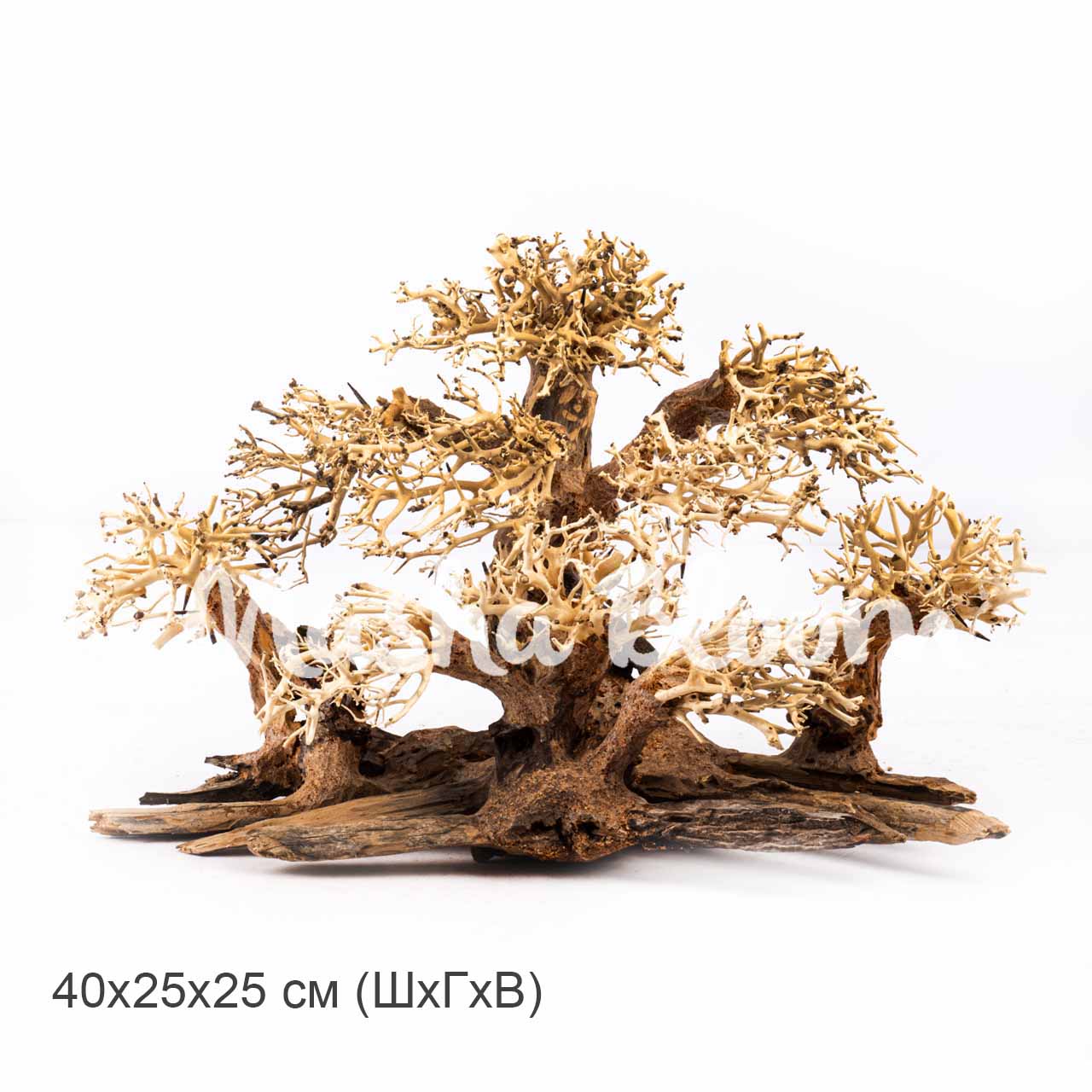 Декорация MASHA BLOOM Дерево Бонсай Зелёная роща L