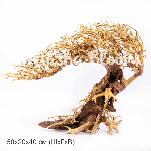 Дерево Masha Bloom Бонсай Ураган XL (влево)