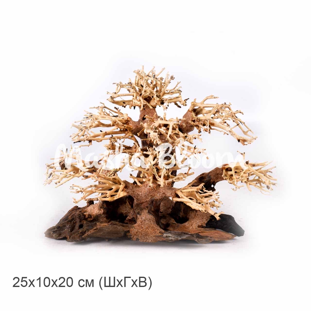 Декорация MASHA BLOOM Дерево Бонсай Зелёная роща S